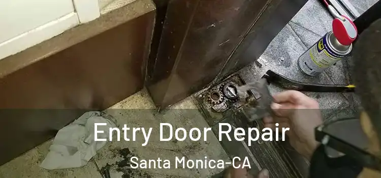  Entry Door Repair Santa Monica-CA